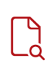 Document with magnifying glass icon